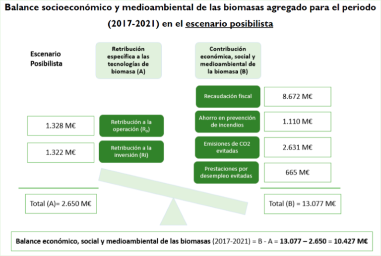 Biomasa en España: ¿Cuál es el Nivel de Uso y sus Beneficios?