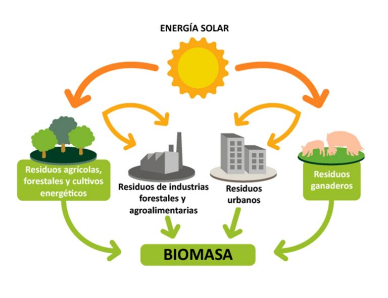 Conoce las ventajas y desventajas de la energía de biomasa: Todo lo que necesitas saber