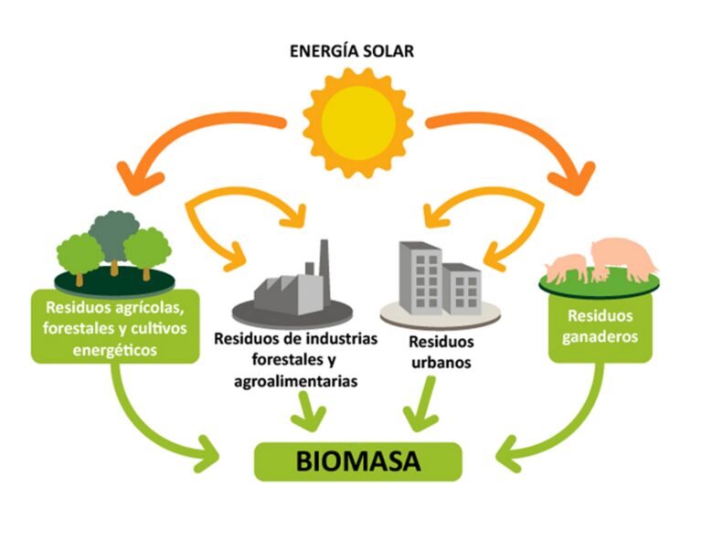 Descubre Cuál Biomasa es la Más Rentable: Consejos y Recomendaciones para Ayudarte a Elegir