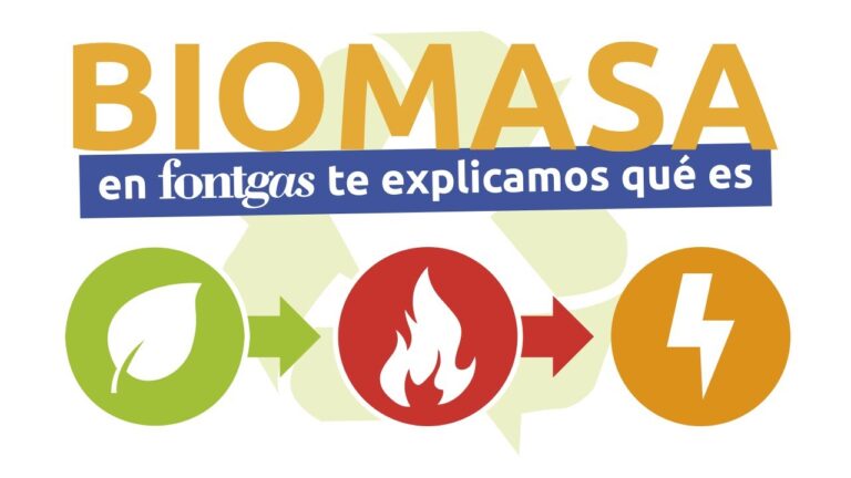 Descubre la Biomasa en pocas palabras – Definición corta y precisa
